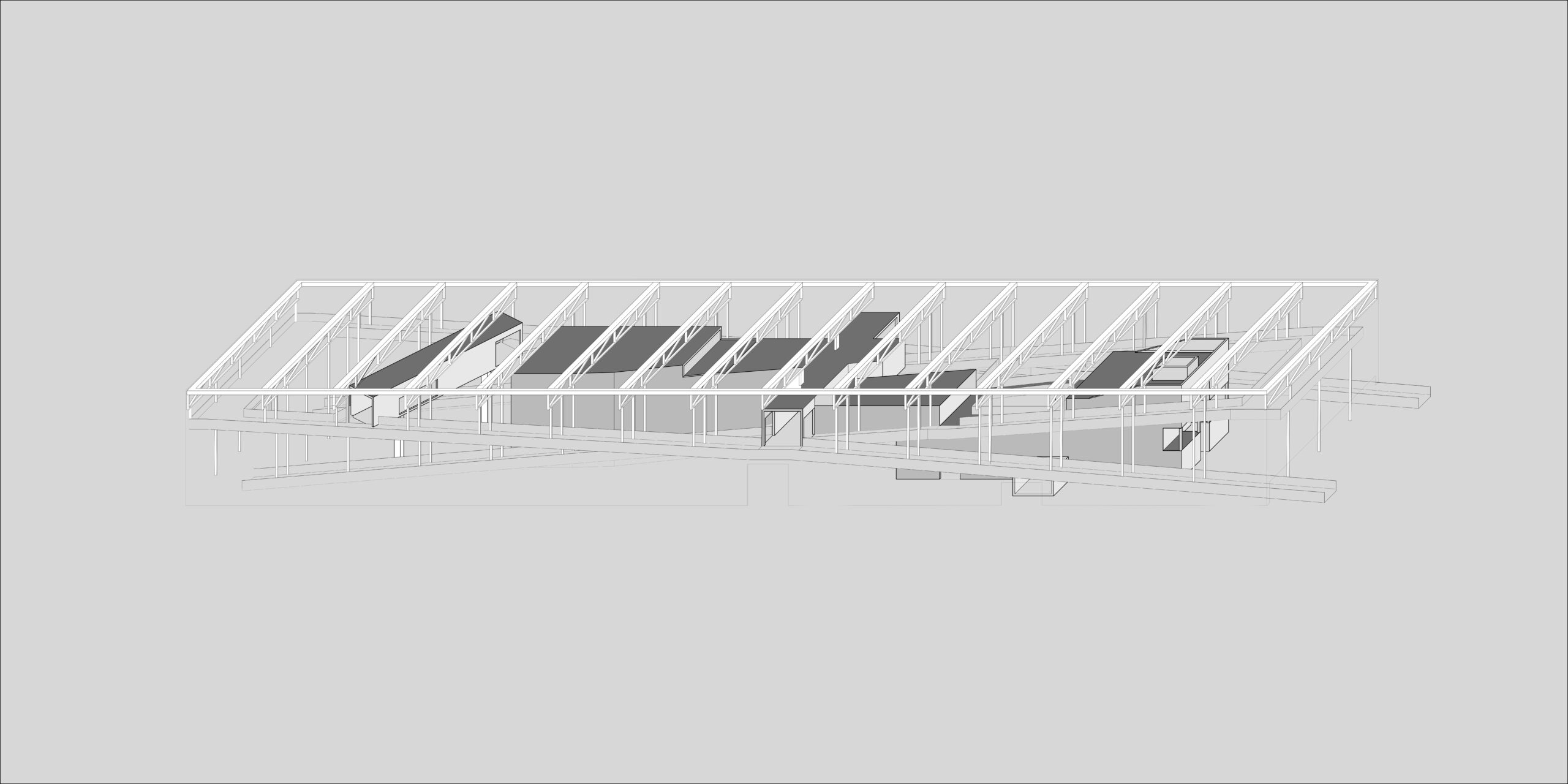 structural oblique